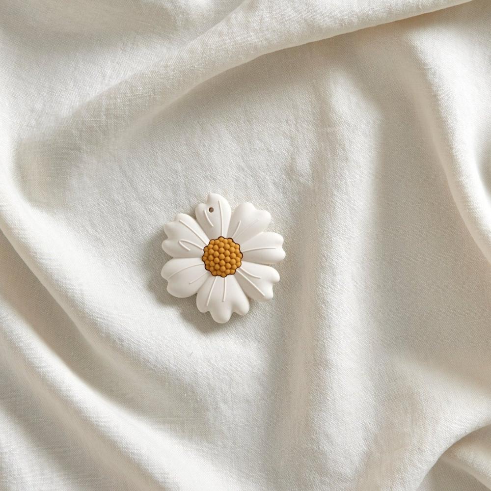 Daisy1