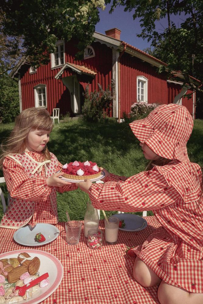 9818249_molly-langermet-kjole-berry-gingham