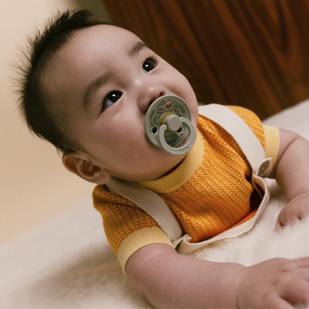 imgi_46_pacifier-retro-holiday-sage
