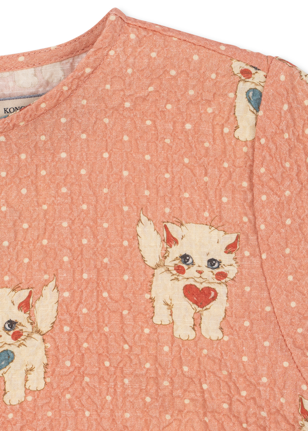 ks105977-ciao-miao-rose-26fa-19