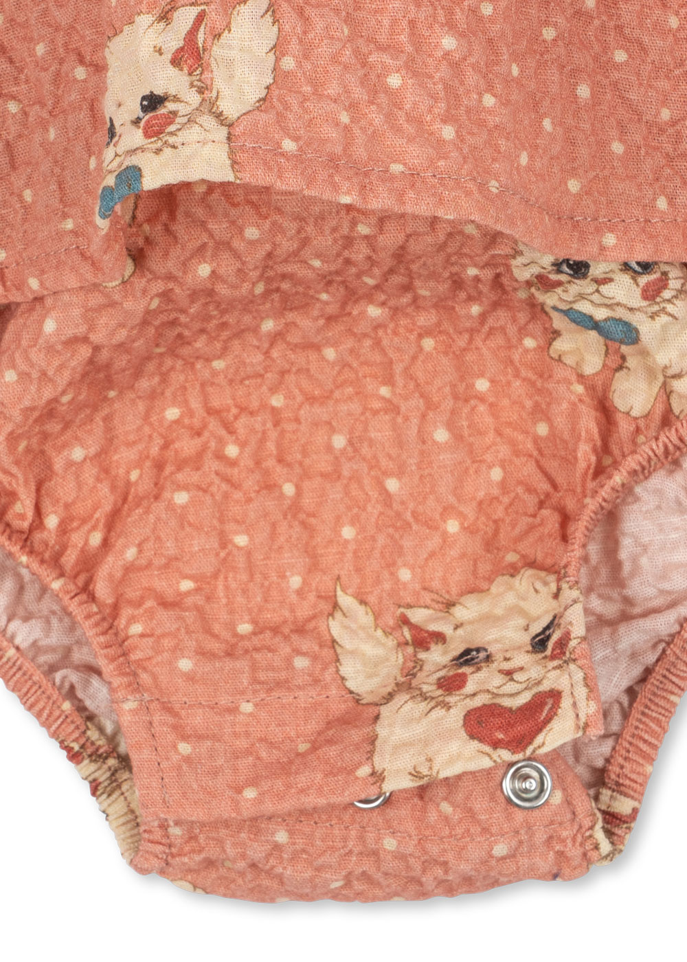 ks105981-ciao-miao-rose-26fa-10