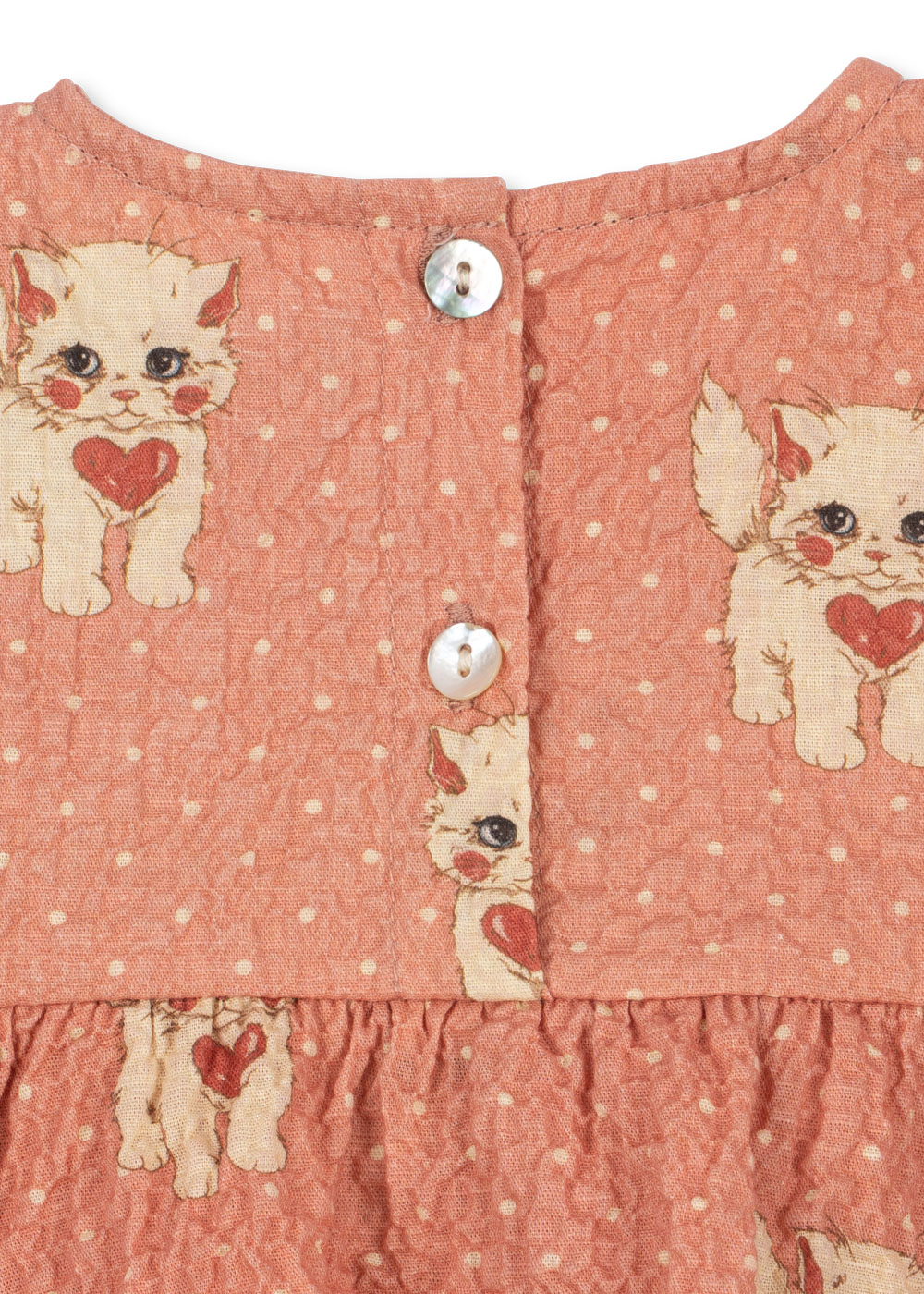 ks105981-ciao-miao-rose-26fa-13