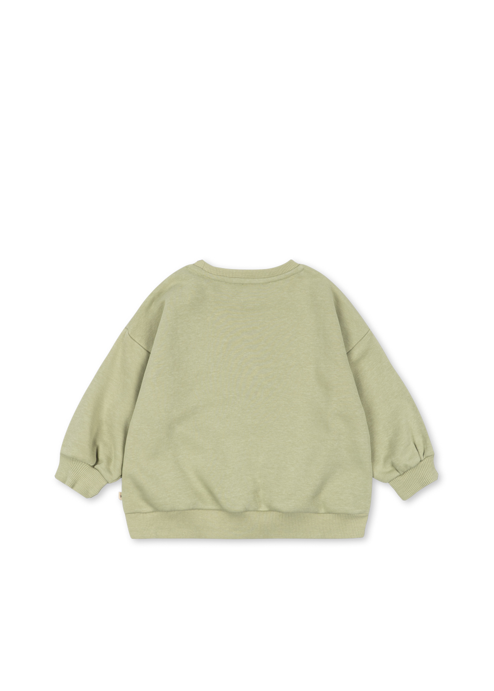 ks106107-sage-26fa-11